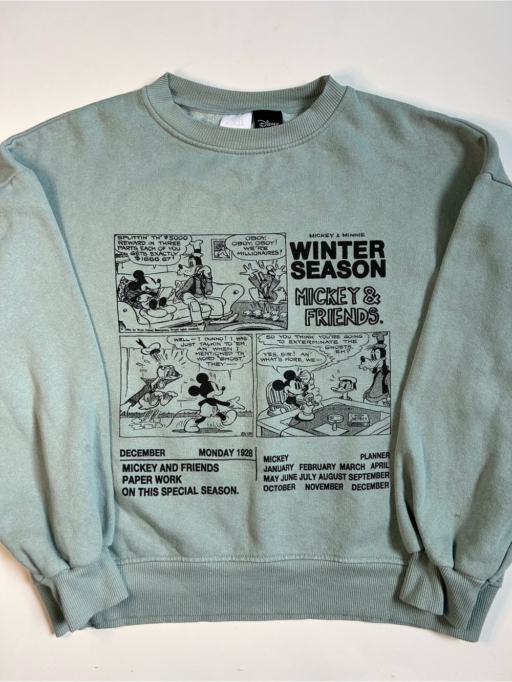 Zara + Disney Crewneck Sweatshirt in Sage Green with Black Comic Graphic